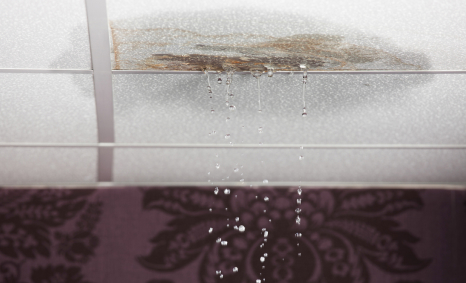 Plumber Frenchs Forest